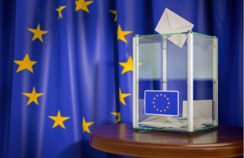 Voľby do EP 2024 obrázok